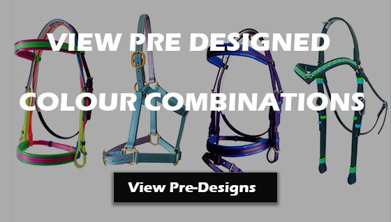 Pre-Designed Colour Combo
